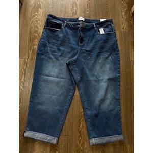 Lane Bryant Jeans Sz 22p
